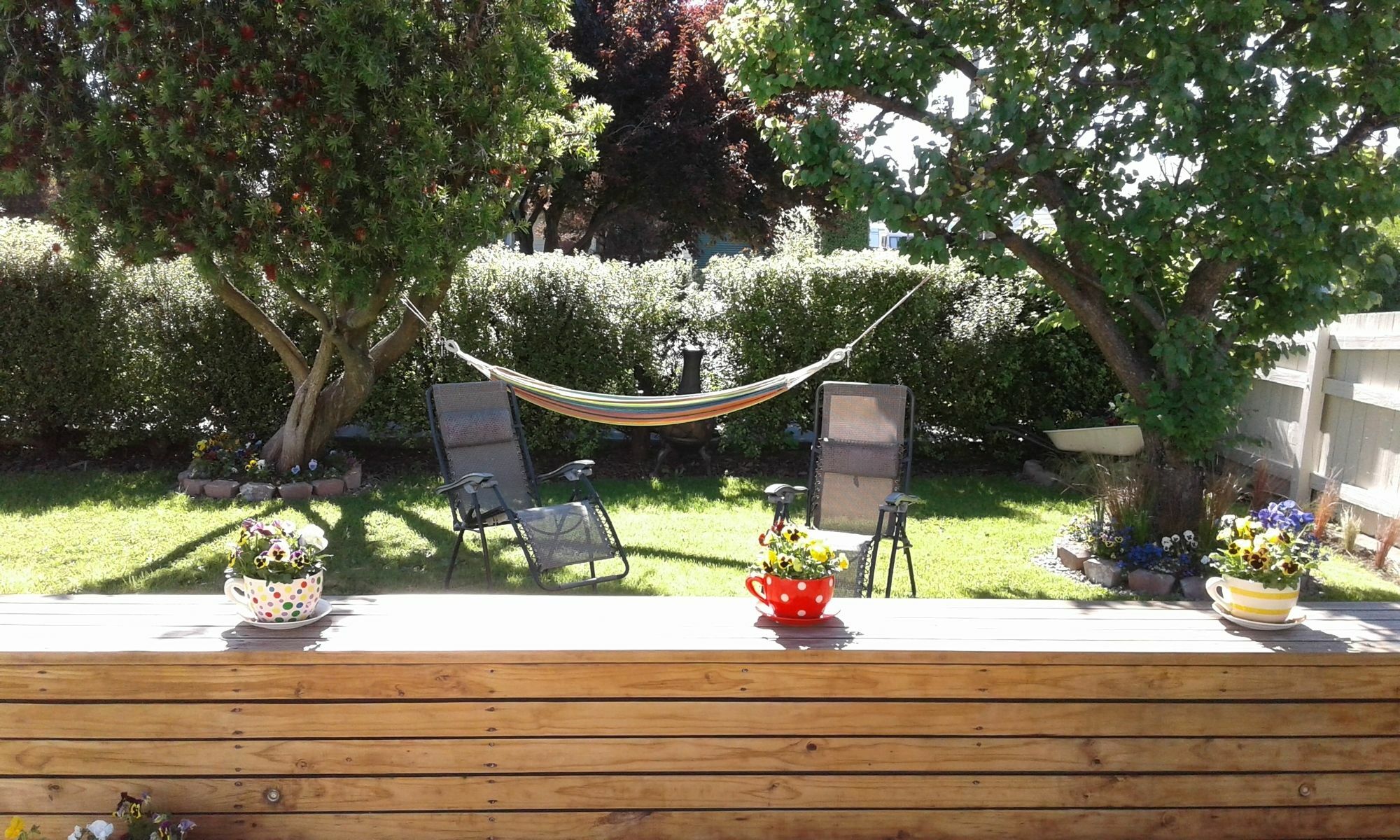 Coeden Cottage Бленем Экстерьер фото